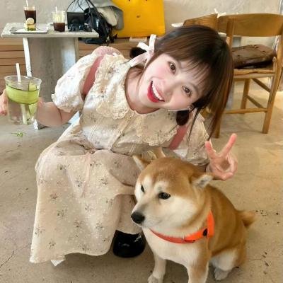 蓝百合
